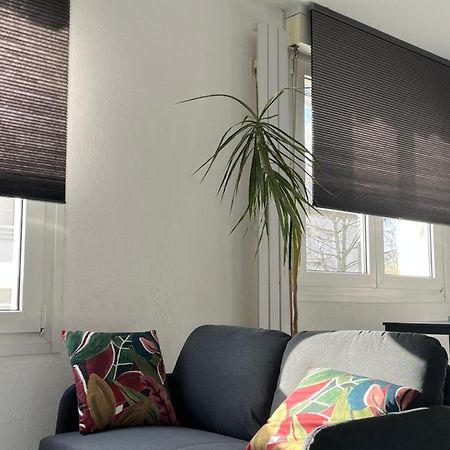Zen-Itude Apartment สตราสบูร์ก ภายนอก รูปภาพ