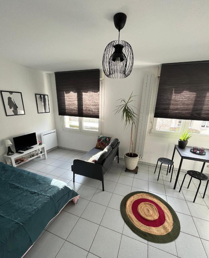 Zen-Itude Apartment สตราสบูร์ก ภายนอก รูปภาพ