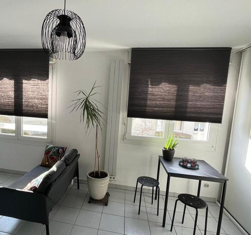 Zen-Itude Apartment สตราสบูร์ก ภายนอก รูปภาพ